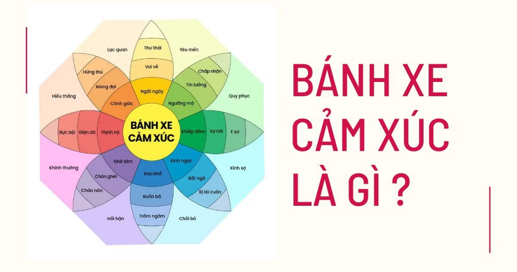 Bánh Xe Cảm Xúc – Công Cụ Đột Phá Trong Việc Nhận Diện và Quản Lý Cảm Xúc